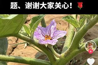 听说对面有水花？科比-怀特半场三分6中5 轰下21分4助&正负值+21